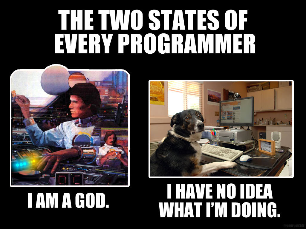 Meme titled 'the two states of every programmer': a triumphant 'I am a god' next to a dog at a keyboard captioned 'I have no idea what I'm doing.'