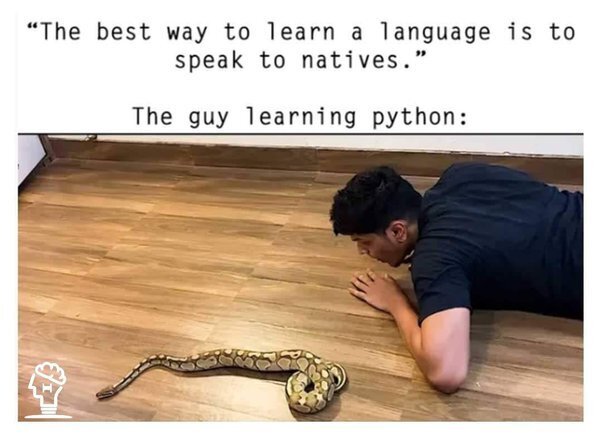 Meme: 'The best way to learn a language is to speak to natives. The guy learning python:' above a photo of someone lying on the floor talking to a python snake.