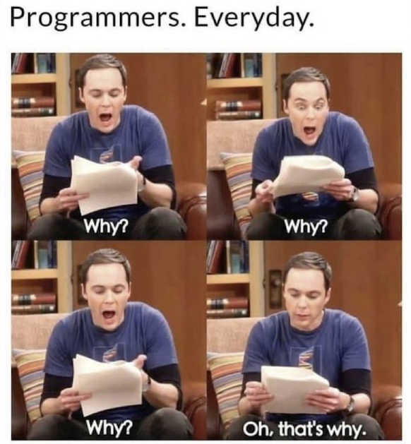 Four-panel debugging meme titled 'programmers, everyday': a man reads a printout and asks 'why? why? why?' across the first three panels, then in the fourth realizes 'oh, that's why.'